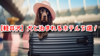 軽井沢　犬